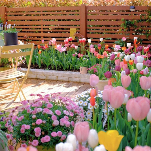Last Day 70% OFF-Outdoor Artificial Tulips Flowers💐